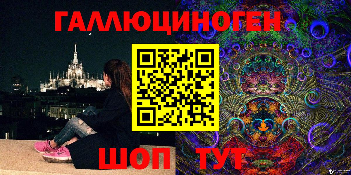 Псилоцибиновые грибы Psilocybine cubensis Пенза