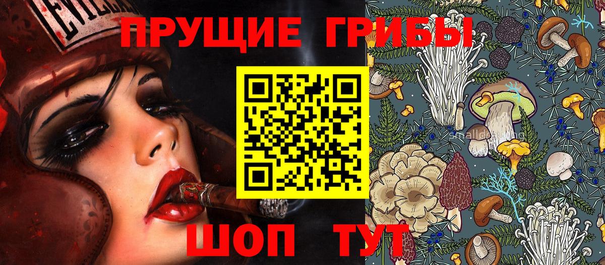 Галлюциногенные грибы GOLDEN TEACHER  Вход с VPN  Пенза 