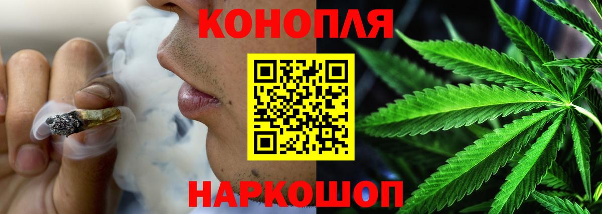 Каннабис план Пенза